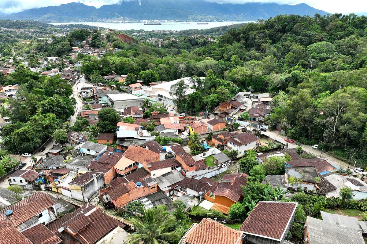Prefeitura de Ilhabela regulamenta poda de árvores em áreas urbanas e reforça proteção ambiental
