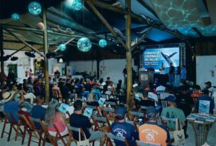 Mais de 200 profissionais do turismo náutico participam de oficina sobre observação de baleias em São Sebastião