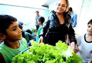 Programa Horta nas Escolas leva educação ambiental e práticas sustentáveis a estudantes da rede municipal